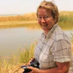 Indian Travel Packages