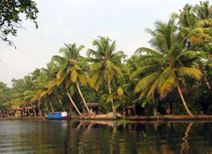 South India Heritage and Wildlife Tour 13 Days